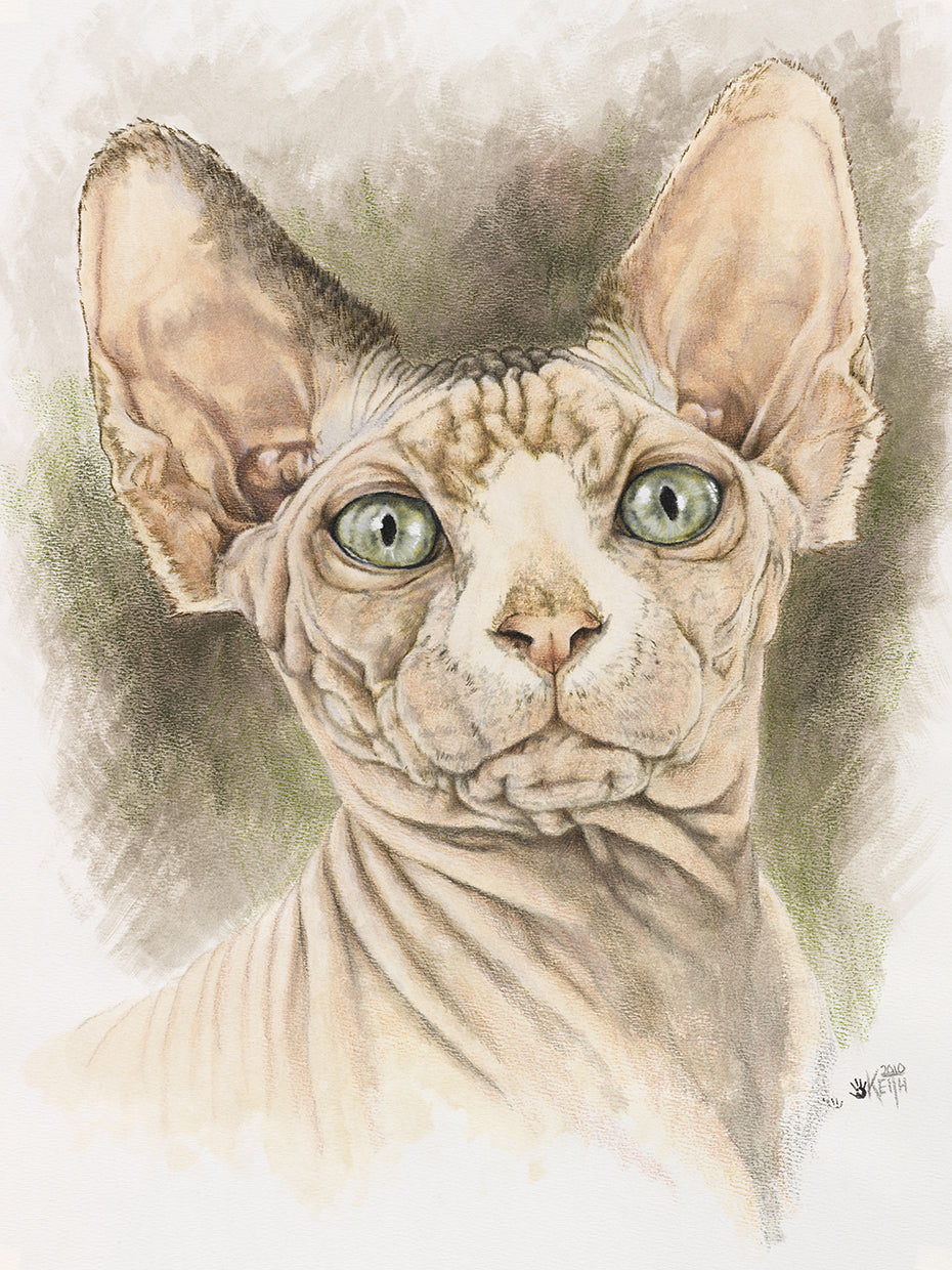 Sphinx