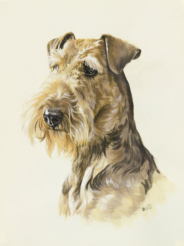 Airedale