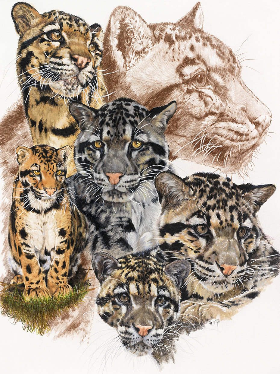 Clouded Leopard with Ghost Image