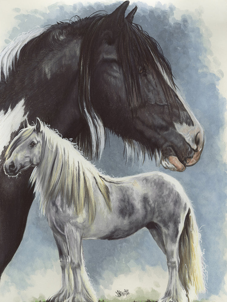 Gypsy Cob