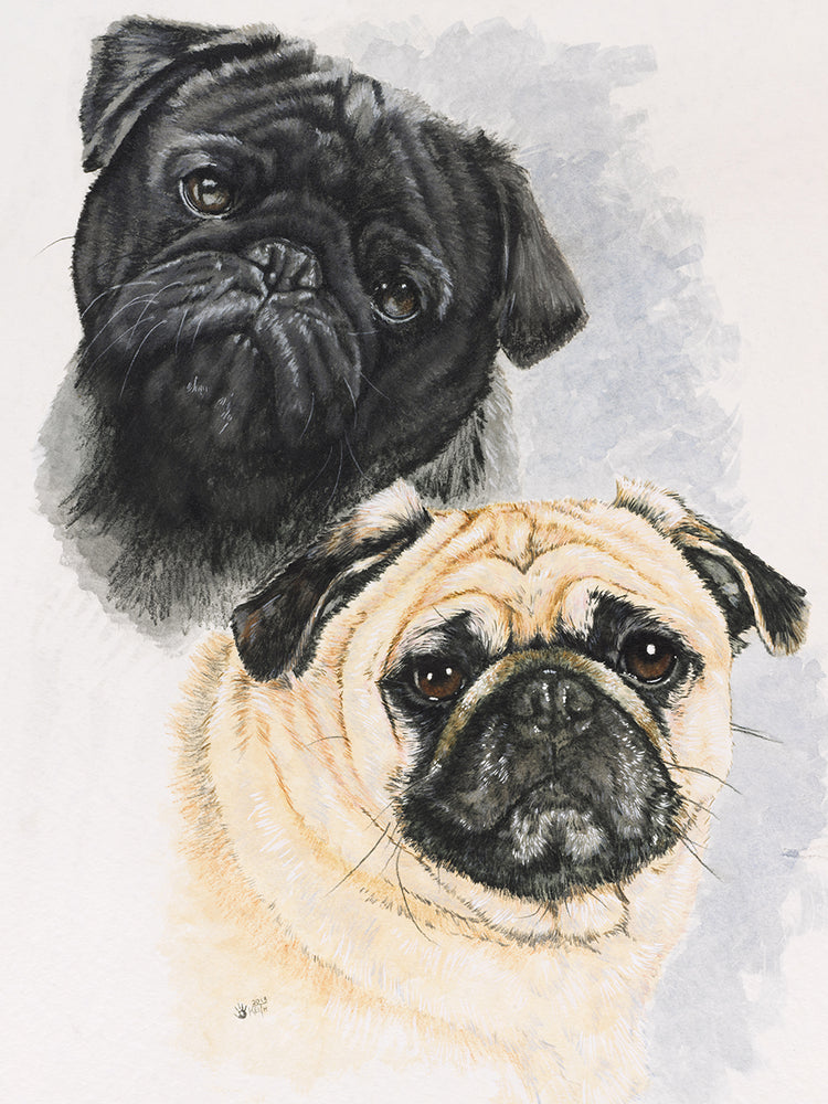 Pugs