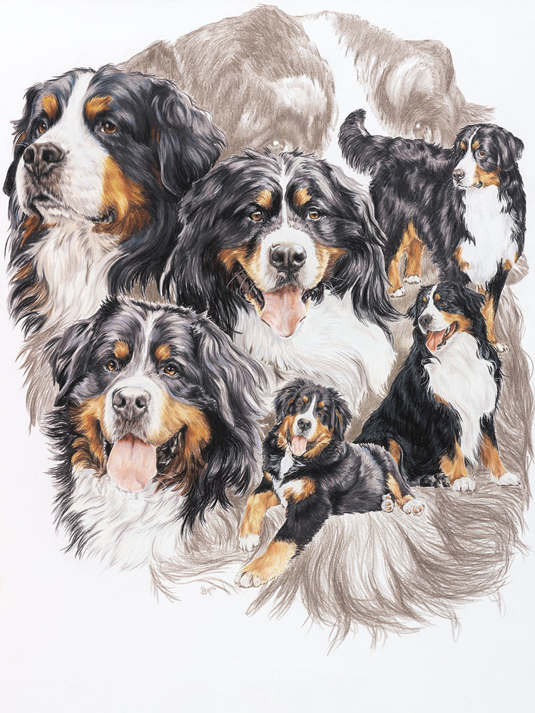 Bernese Mountain Dog with Ghost