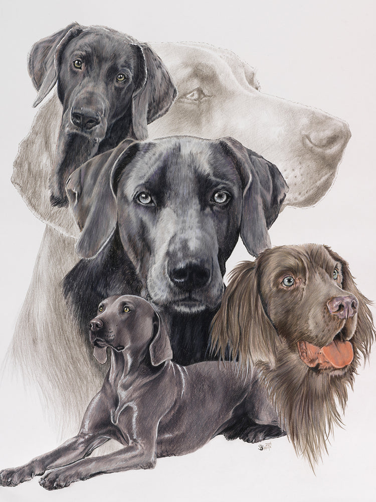 Weimaraner and Ghost