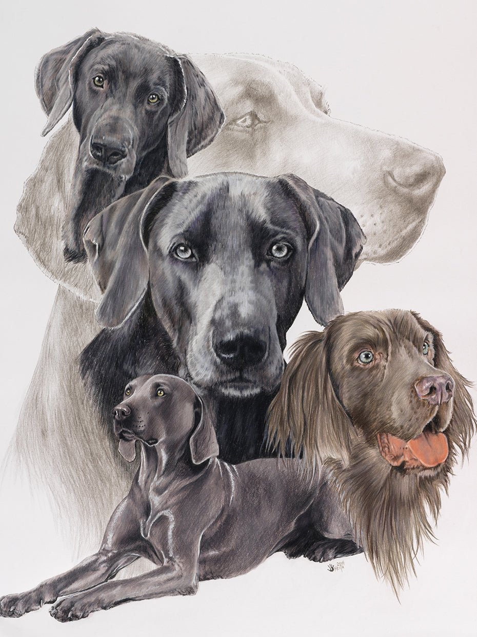 Weimaraner and Ghost