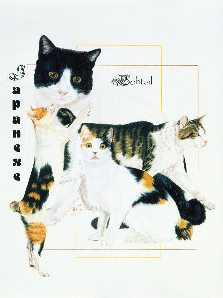 Japanese Bobtail
