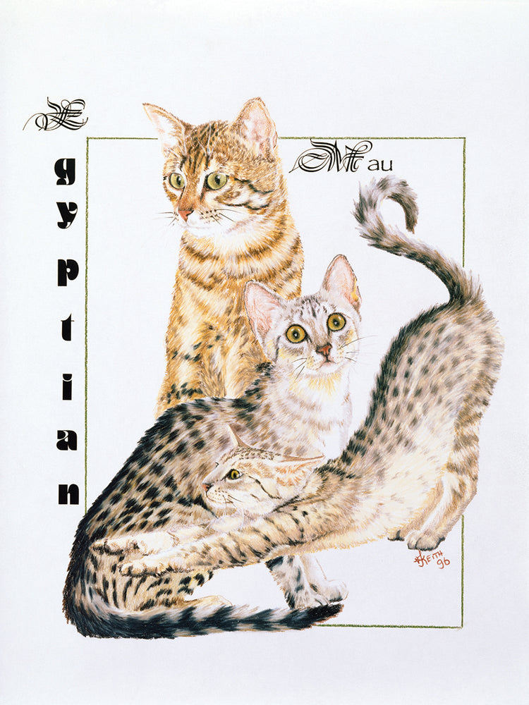 Egyptian Mau