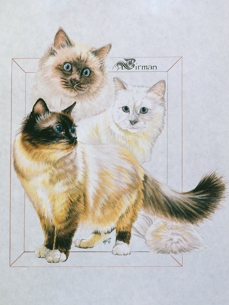 Birman