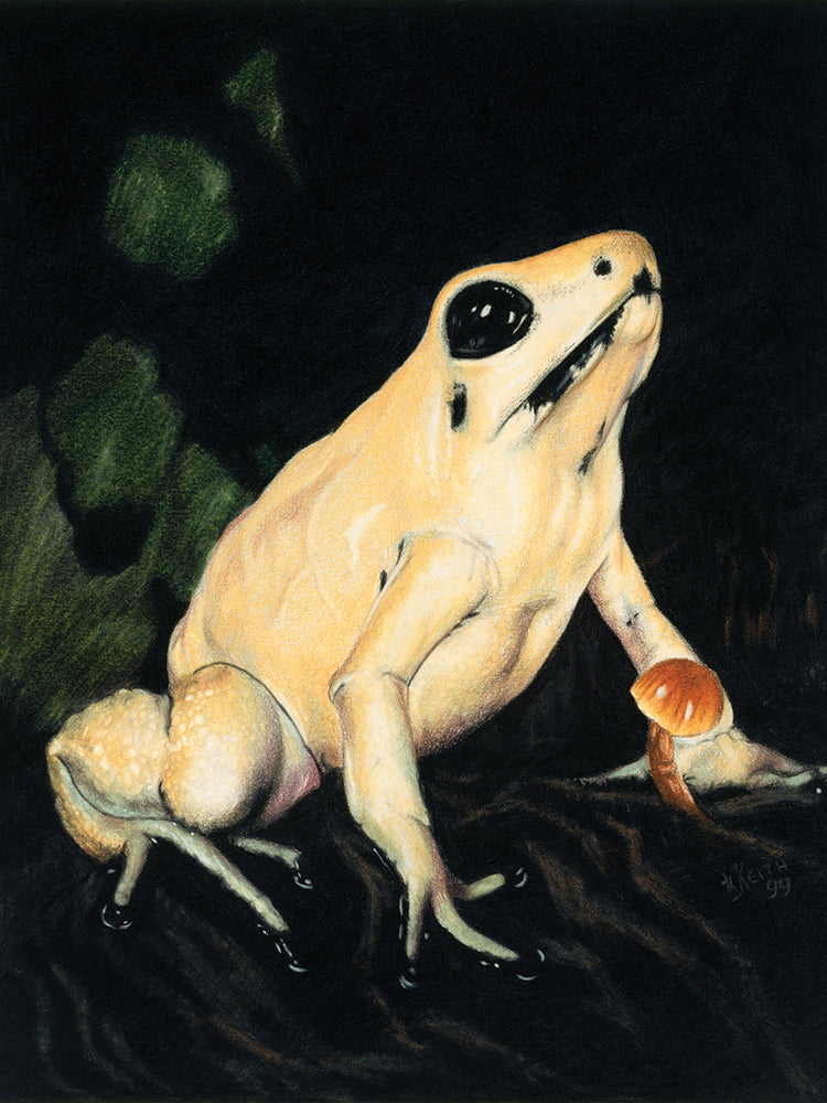 Golden Poison - Dart