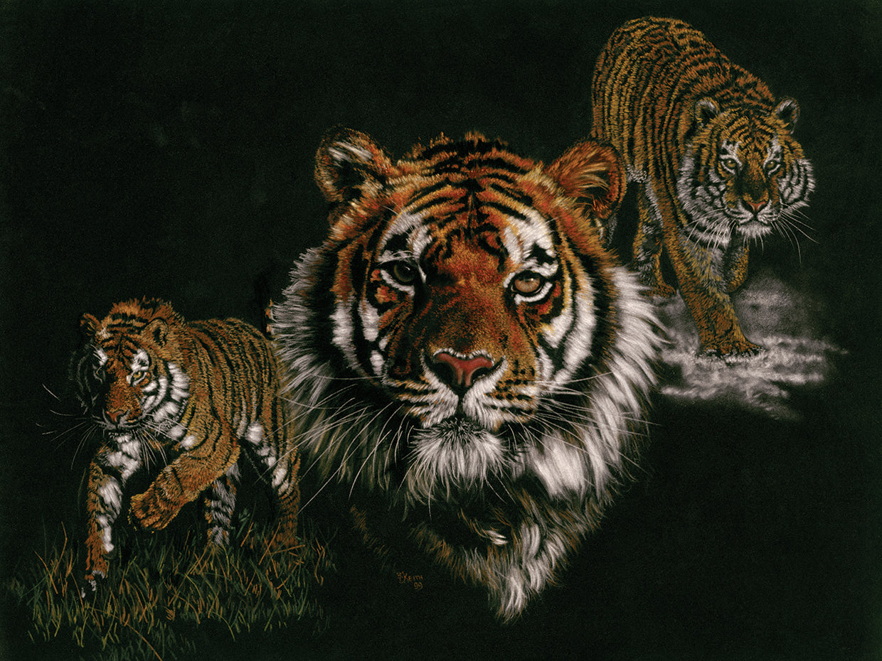 Myth, Fable & Fantasy