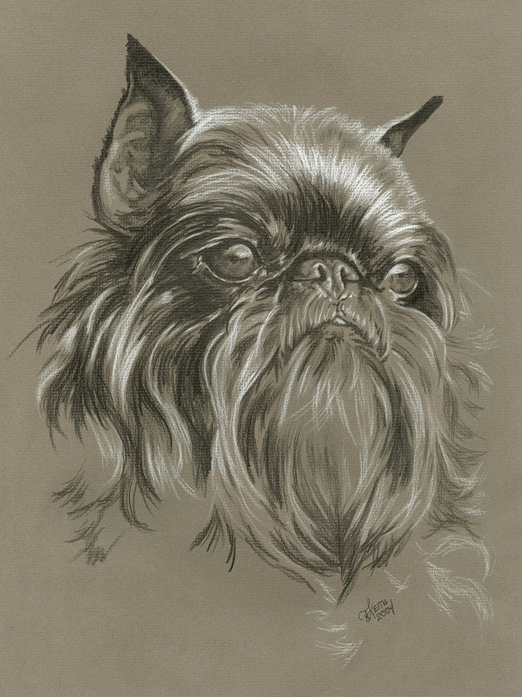 Brussels Griffon