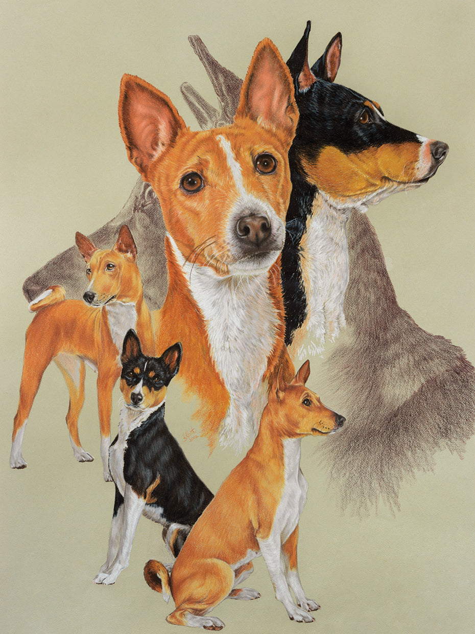 Basenji and Ghost