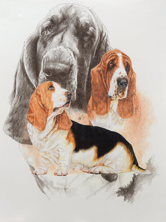 Basset and Ghost Canvas Print