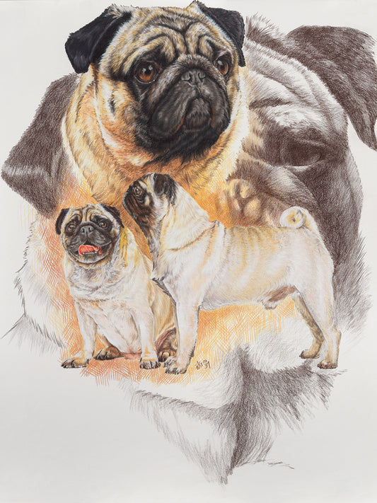 Pug and Ghost Canvas Print