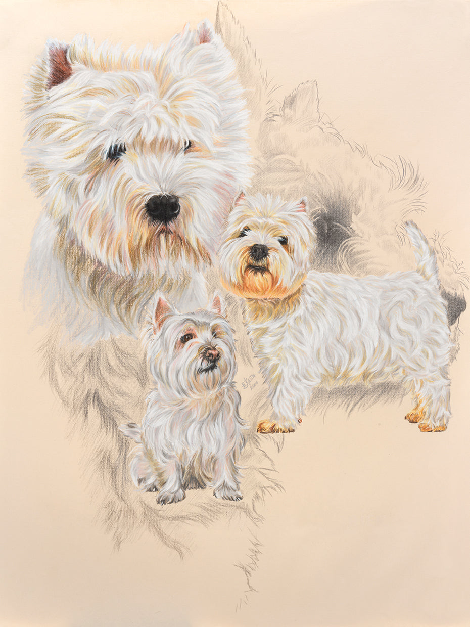 West Highland White and Ghost