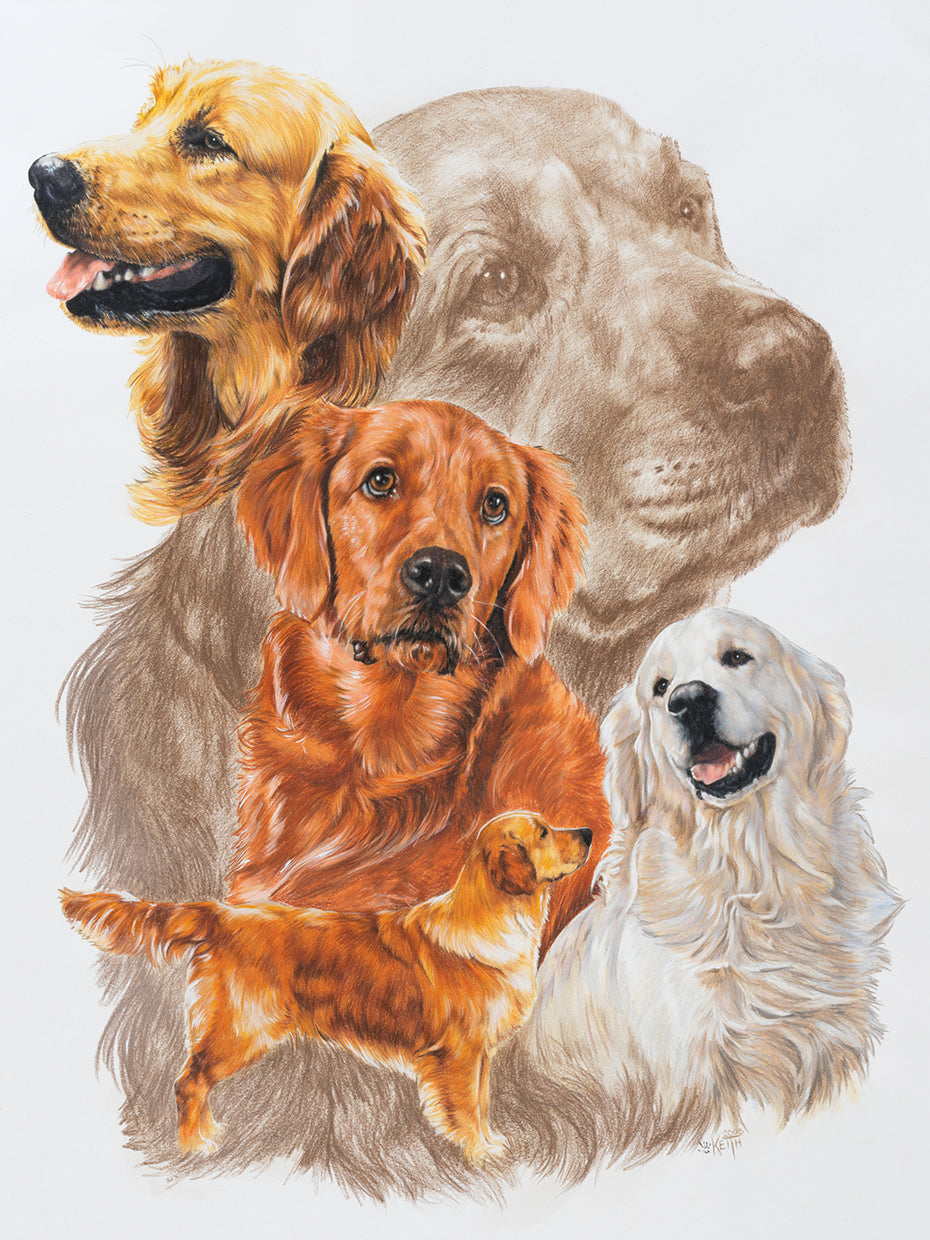 Golden Retriever with Ghost Image