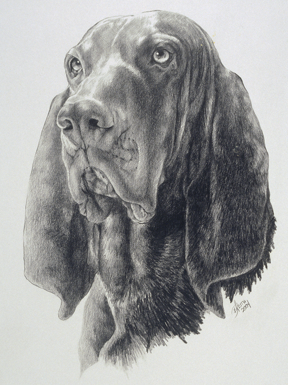 Black & Tan Coonhound