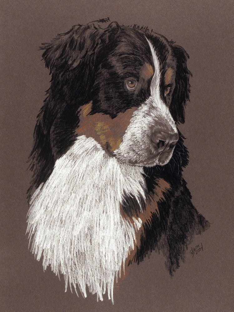 Arte de la lona del perro del monte bernés