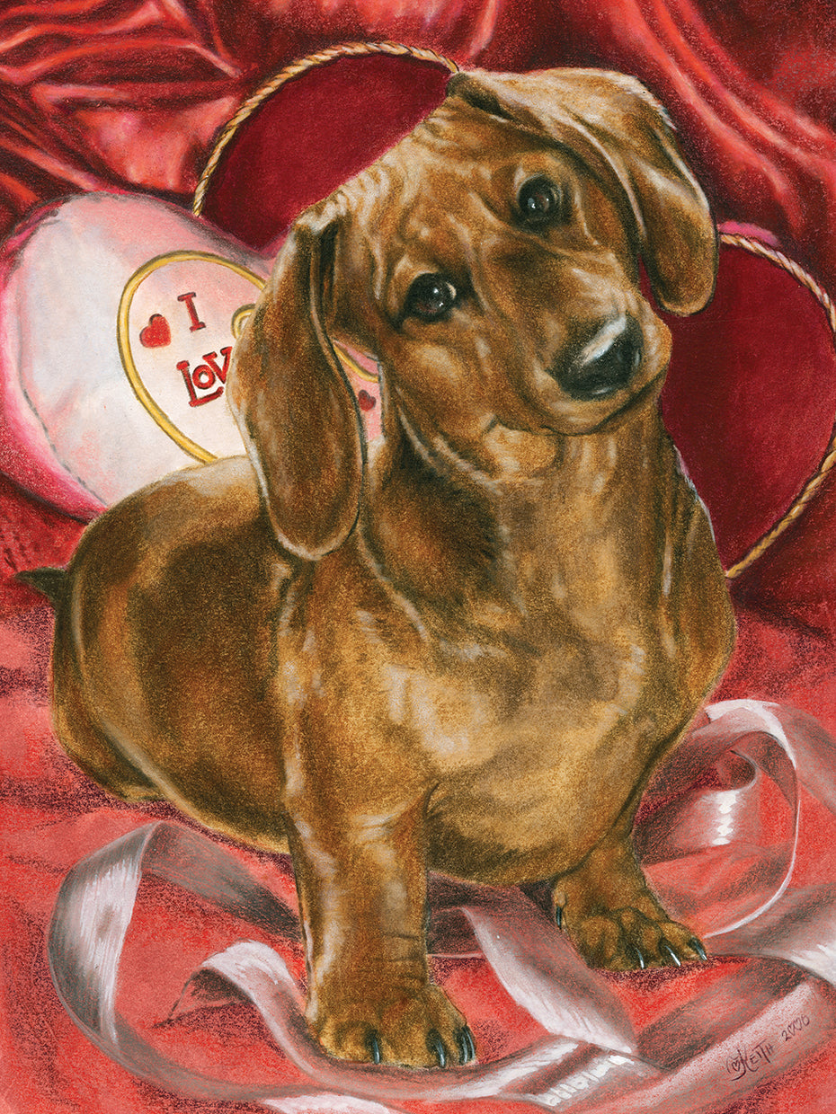 Dachshund Love