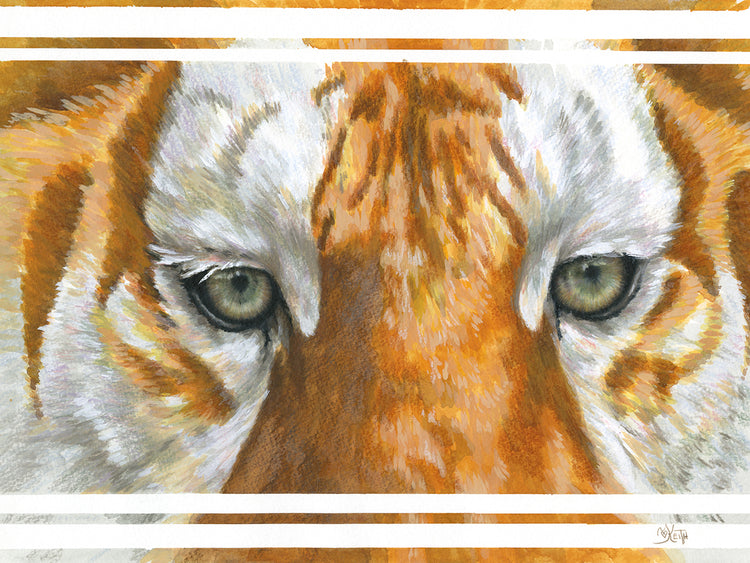 Eye-Catching Golden Tabby Tiger