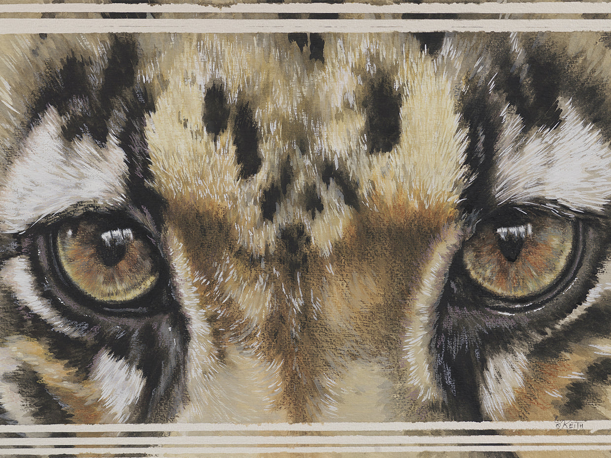 Eye-Catching Clouded Leopard