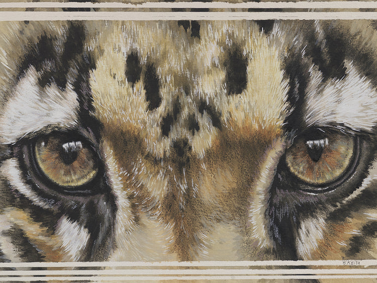 Eye-Catching Clouded Leopard