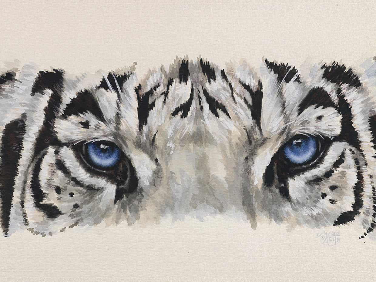 Eye-Catching White Tiger