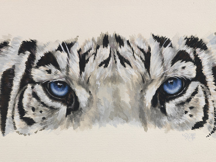 Eye-Catching White Tiger