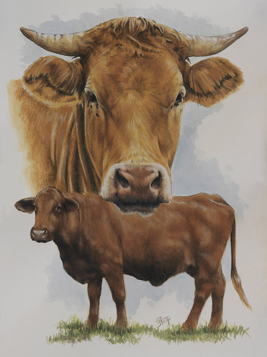 Guernsey Cow