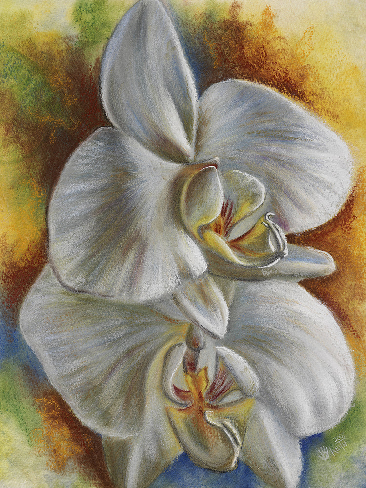 Arte de la lona de la orquídea de la tarde