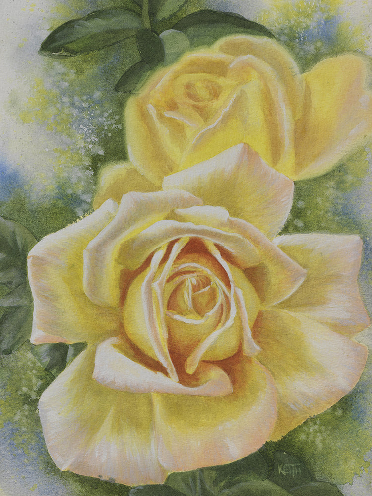 Arte de la lona de la rosa de la paz