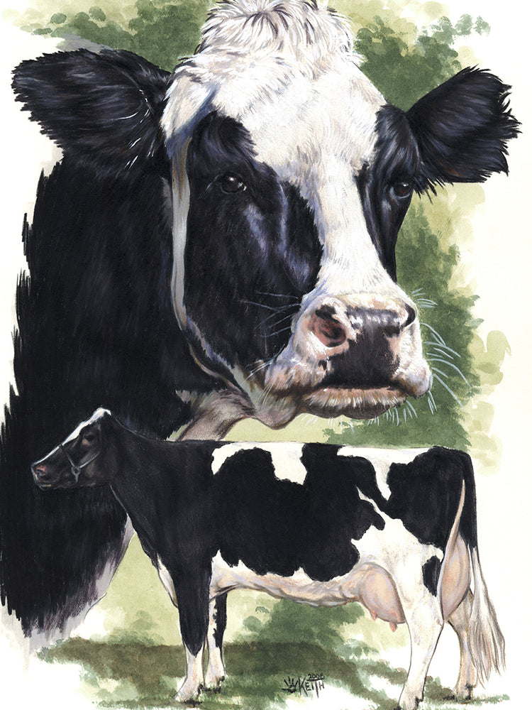 Holstein Cow