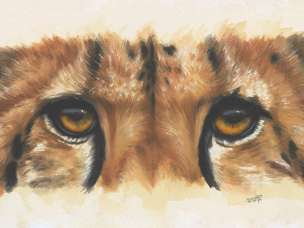 Eye- Catching Cheetah