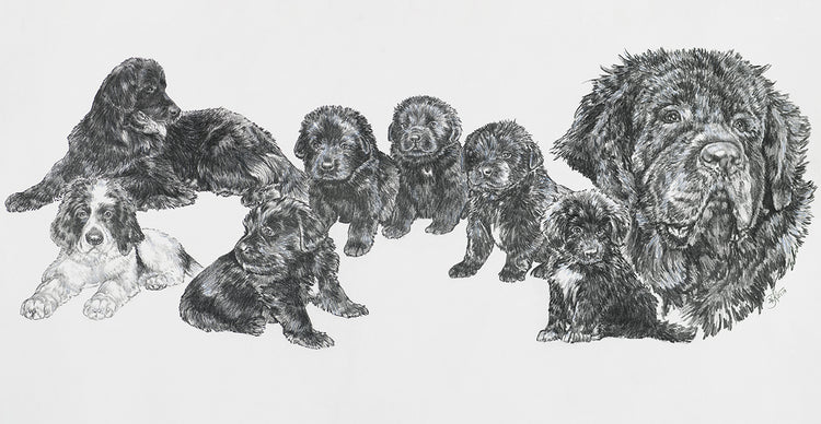 Growing Up Newfoundland