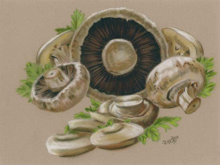 Hongos Lienzo