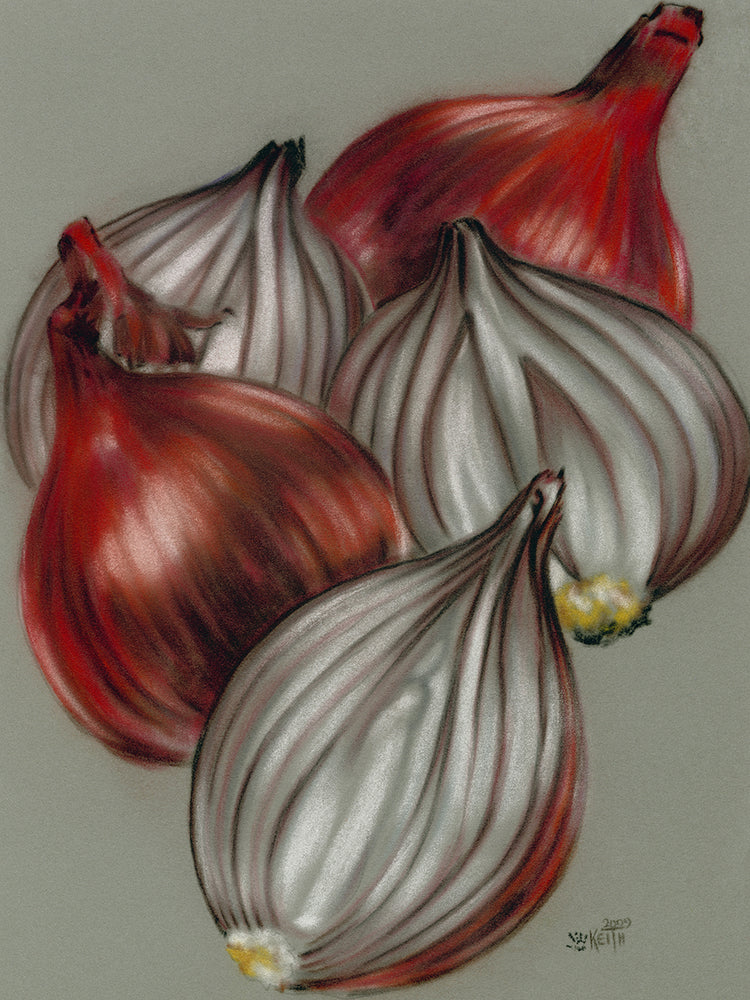 rubicundo Lienzo