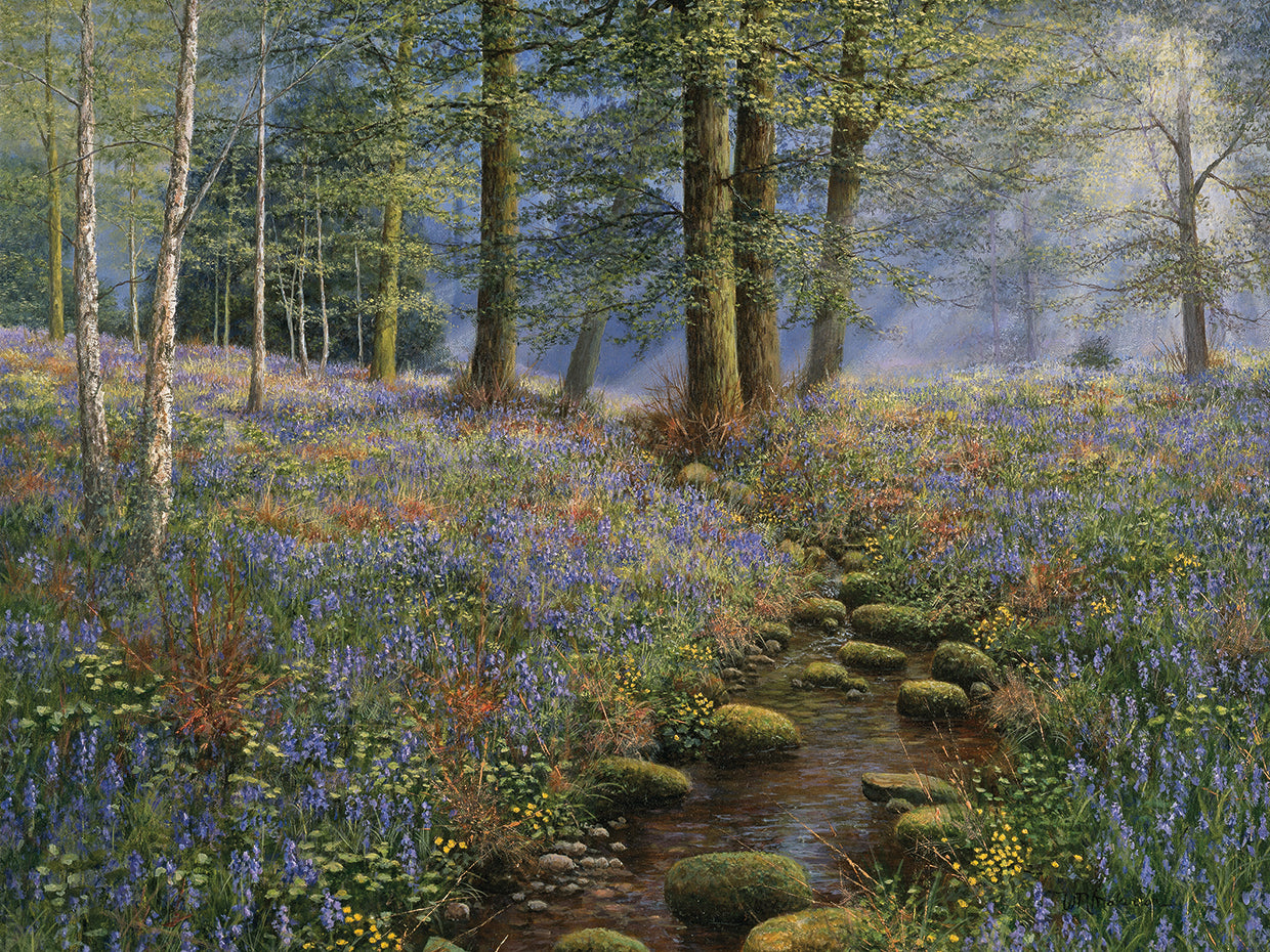 Bluebell Wood
