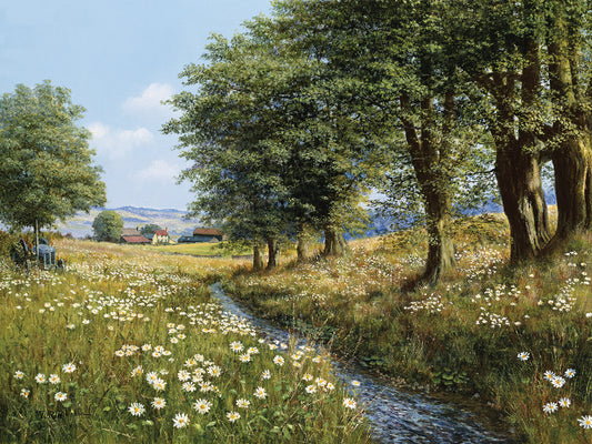 Beeches And Daisies Canvas Art