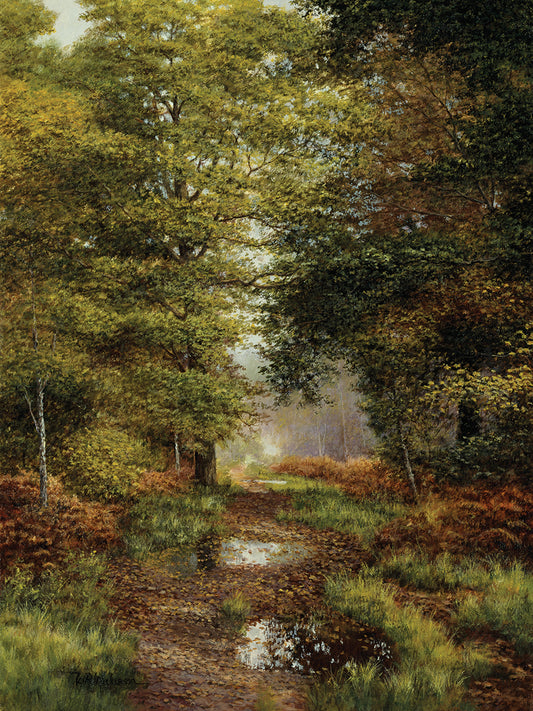Woodland In The Fall Canvas Art