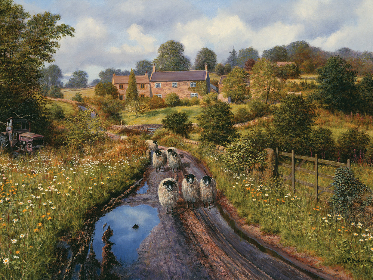 Summer Showers