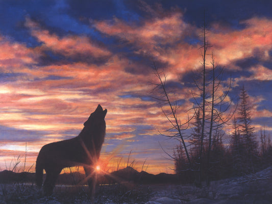 Sky Wolf Canvas Art