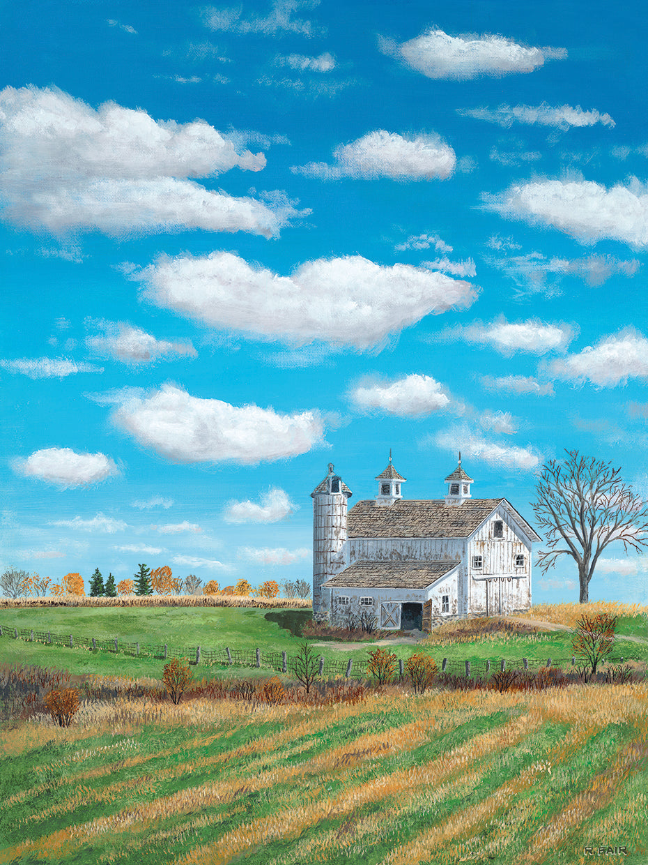Autumn Skies