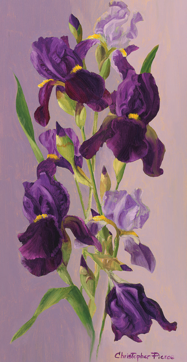 study-in-lavender-christopher-pierce