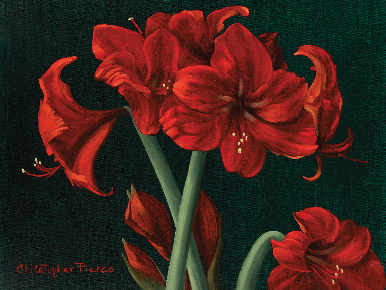 Crimson Beauties
