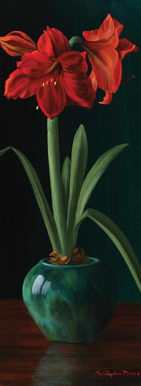 Amarillys II