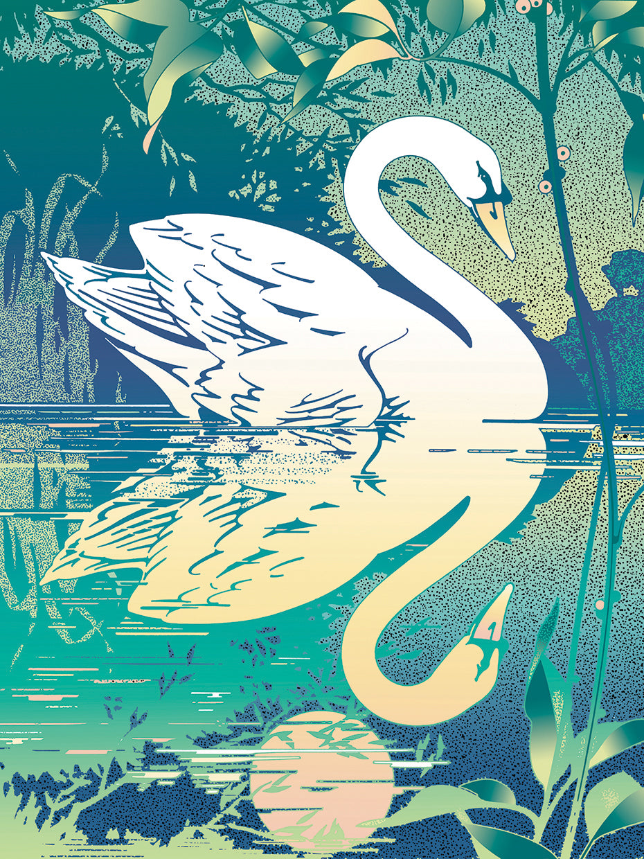 Swan