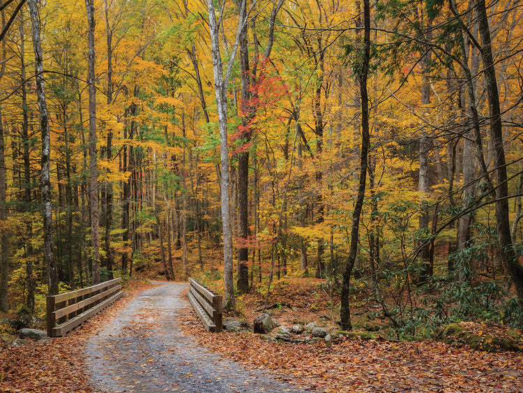 Greenbrier Bridge Path