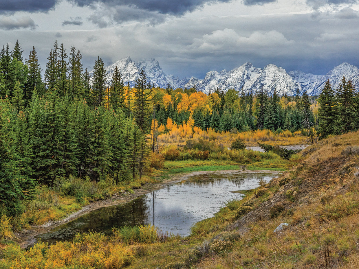 Gtnp Fall Color With Mountains