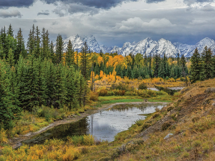Gtnp Fall Color With Mountains