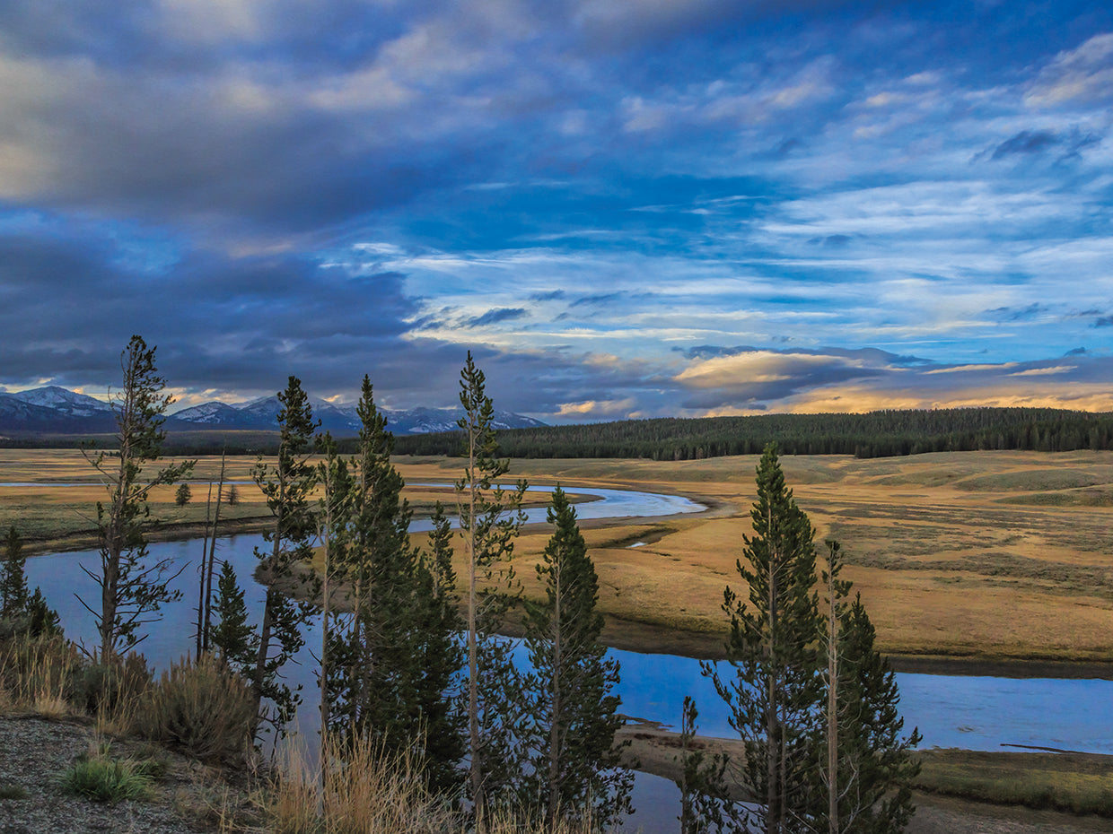 S Curve Hayden Valley