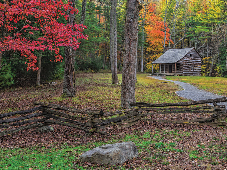 Smokies Cs Cabin